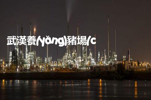 武漢養(yǎng)豬場(chǎng)廢水處理的以后：揭秘綠色養(yǎng)殖的奧秘？